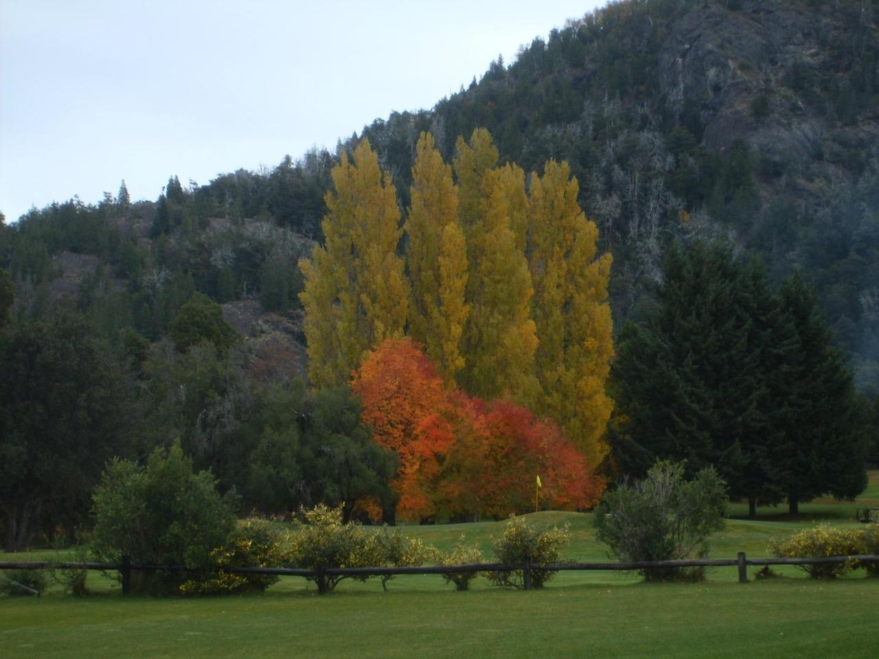 Arelauquen Bungalows & Suites San Carlos de Bariloche Eksteriør bilde